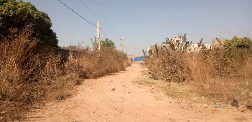 Terrain 300 m² à vendre – Samaya, près du goudron