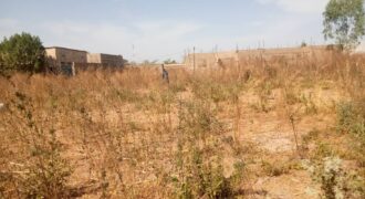 Terrain 300 m² (15/20) à vendre – Dialakorobougou
