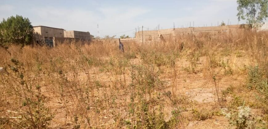 Terrain 300 m² (15/20) à vendre – Dialakorobougou