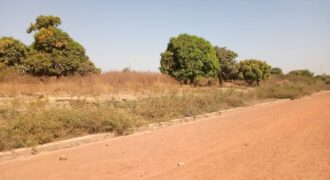Terrains 300 m² au bord du fleuve à vendre – Samaya