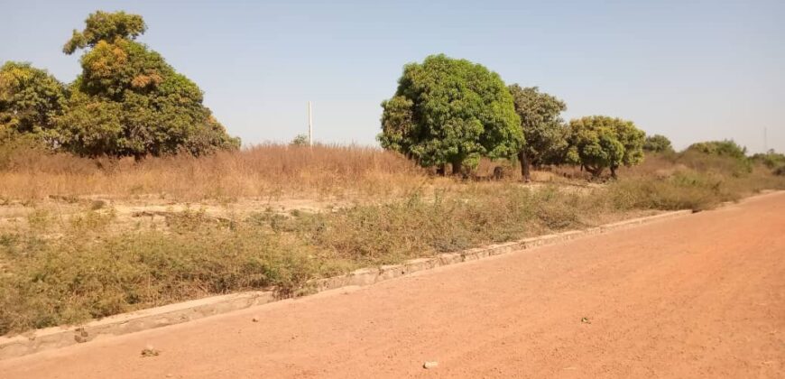 Terrains 300 m² au bord du fleuve à vendre – Samaya