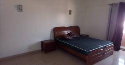 Appartement Meublé à Sébénikoro: 2 chambres, 1 salon, 2 salles de bain Appartement Meublé à Sébénikoro: 2 chambres, 1 salon, 2 salles de bain