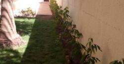 Villa non meublée à louer à Torokorobougou: 4 chambres, 1 salon, 3 salles de bain, piscine Villa non meublée à louer à Torokorobougou: 4 chambres, 1 salon, 3 salles de bain, piscine