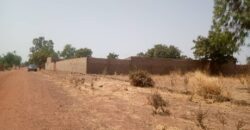 TERRAIN / CHAMP A VENDRE A TIENFALA TERRAIN / CHAMP A VENDRE A TIENFALA