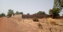 TERRAIN A VENDRE A TIENFALA AU BORD DU GOUDRON: 9000 M2, TITRE FONCIER TERRAIN A VENDRE A TIENFALA AU BORD DU GOUDRON: 9000 M2, TITRE FONCIER