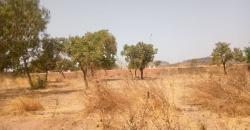 TERRAIN A VENDRE A TIENFALA AU BORD DU GOUDRON: 9000 M2, TITRE FONCIER TERRAIN A VENDRE A TIENFALA AU BORD DU GOUDRON: 9000 M2, TITRE FONCIER