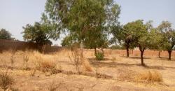 TERRAIN A VENDRE A TIENFALA AU BORD DU GOUDRON: 9000 M2, TITRE FONCIER TERRAIN A VENDRE A TIENFALA AU BORD DU GOUDRON: 9000 M2, TITRE FONCIER