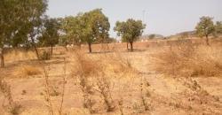 TERRAIN A VENDRE A TIENFALA AU BORD DU GOUDRON: 9000 M2, TITRE FONCIER TERRAIN A VENDRE A TIENFALA AU BORD DU GOUDRON: 9000 M2, TITRE FONCIER