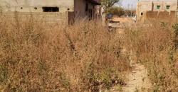 TERRAIN A VENDRE A KATI TERRAIN A VENDRE A KATI