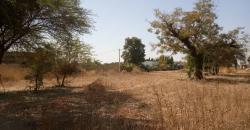 VENTE DE TERRAIN 15/20 A SAMAYA CITE VENTE DE TERRAIN 15/20 A SAMAYA CITE