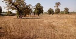 VENTE DE TERRAIN 15/20 A SAMAYA CITE VENTE DE TERRAIN 15/20 A SAMAYA CITE