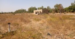 VENTE DE TERRAIN 15/20 A SAMAYA CITE VENTE DE TERRAIN 15/20 A SAMAYA CITE
