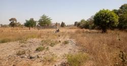 TERRAIN A VENDRE A SAMAYA TERRAIN A VENDRE A SAMAYA