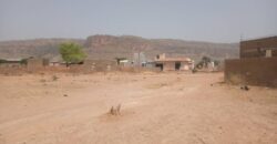 TERRAIN A VENDRE A MAMARIBOUGOU TERRAIN A VENDRE A MAMARIBOUGOU