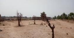 TERRAIN A VENDRE A MAMARIBOUGOU TERRAIN A VENDRE A MAMARIBOUGOU