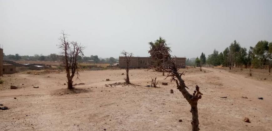 TERRAIN A VENDRE A MAMARIBOUGOU