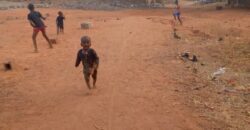 TERRAIN A VENDRE A TIEBANI: 15 MILLIONS TERRAIN A VENDRE A TIEBANI: 15 MILLIONS