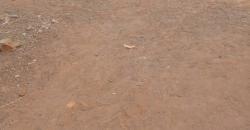 TERRAIN A VENDRE A TIEBANI: 15 MILLIONS TERRAIN A VENDRE A TIEBANI: 15 MILLIONS