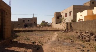 Terrain 300 m² à vendre – Sirakoro Méguétana, titre foncier