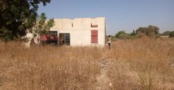 Terrain 300 m² (15/20) à vendre – Samaya Cité, titre foncier Terrain 300 m² (15/20) à vendre – Samaya Cité, titre foncier