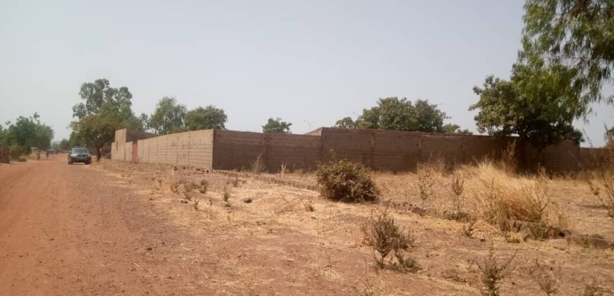 Terrain 9.000 m² au bord du goudron à vendre – Tienfala