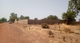 Terrain agricole 9.000 m² à vendre – Tienfala, route de Koulikoro