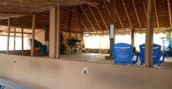 VILLA A VENDRE A L’HIPPODROME: TROIS CHAMBRES SALONS VILLA A VENDRE A L’HIPPODROME: TROIS CHAMBRES SALONS