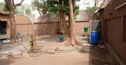 VILLA A VENDRE A L’HIPPODROME: TROIS CHAMBRES SALONS VILLA A VENDRE A L’HIPPODROME: TROIS CHAMBRES SALONS