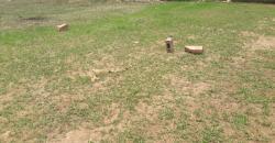 TERRAINS TF À VENDRE À SAMAYA TERRAINS TF À VENDRE À SAMAYA