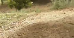 CHAMP TERRAIN À VENDRE À KOURSALE APRES BANCOUMANA CHAMP TERRAIN À VENDRE À KOURSALE APRES BANCOUMANA