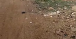 TERRAIN À VENDRE À NIAMANA TERRAIN À VENDRE À NIAMANA