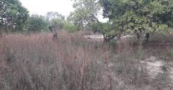 TERRAINS TF À VENDRE À SAMAYA TERRAINS TF À VENDRE À SAMAYA