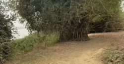 CHAMP TERRAIN À VENDRE À KOURSALE APRES BANCOUMANA CHAMP TERRAIN À VENDRE À KOURSALE APRES BANCOUMANA