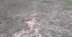 TERRAINS TF À VENDRE À SAMAYA TERRAINS TF À VENDRE À SAMAYA