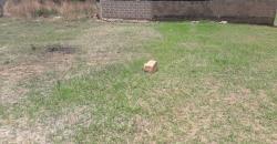 TERRAINS TF À VENDRE À SAMAYA TERRAINS TF À VENDRE À SAMAYA