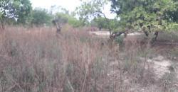 TERRAINS TF À VENDRE À SAMAYA TERRAINS TF À VENDRE À SAMAYA