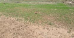 TERRAINS TF À VENDRE À SAMAYA TERRAINS TF À VENDRE À SAMAYA