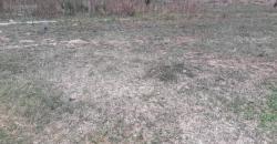 TERRAINS TF À VENDRE À SAMAYA TERRAINS TF À VENDRE À SAMAYA