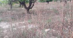 TERRAINS TF À VENDRE À SAMAYA TERRAINS TF À VENDRE À SAMAYA