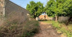 A VENDRE A KABALA UN TERRAIN AVEC TITRE FONCIER A VENDRE A KABALA UN TERRAIN AVEC TITRE FONCIER