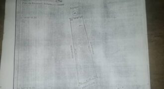 Champ de 2 hectares au bord du goudron à vendre – Massala, Koulikoro