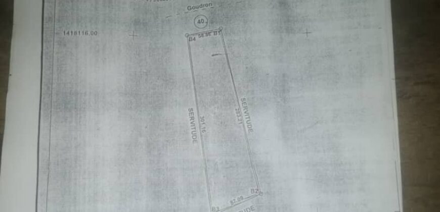 Champ de 2 hectares au bord du goudron à vendre – Massala, Koulikoro