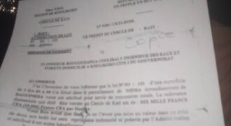 Champ de 4 hectares à vendre – Diéma, derrière Mountougoula