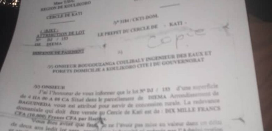 Champ de 4 hectares à vendre – Diéma, derrière Mountougoula