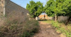 Terrain de 300 m² en titre foncier à vendre – Kabala, Bamako Terrain de 300 m² en titre foncier à vendre – Kabala, Bamako