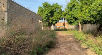 Terrain de 300 m² en titre foncier à vendre – Kabala, Bamako