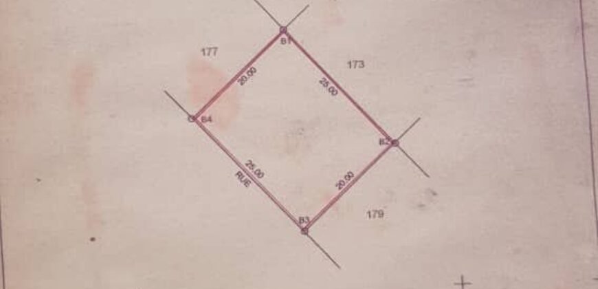Terrain de 500 m² à vendre – Cité Faya, Yirimadio, Bamako