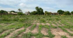 Terrains de 250 et 300 m² en titre foncier à vendre – Samaya, Bamako Terrains de 250 et 300 m² en titre foncier à vendre – Samaya, Bamako