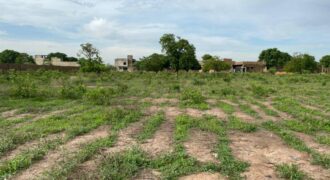 Terrains de 250 et 300 m² en titre foncier à vendre – Samaya, Bamako