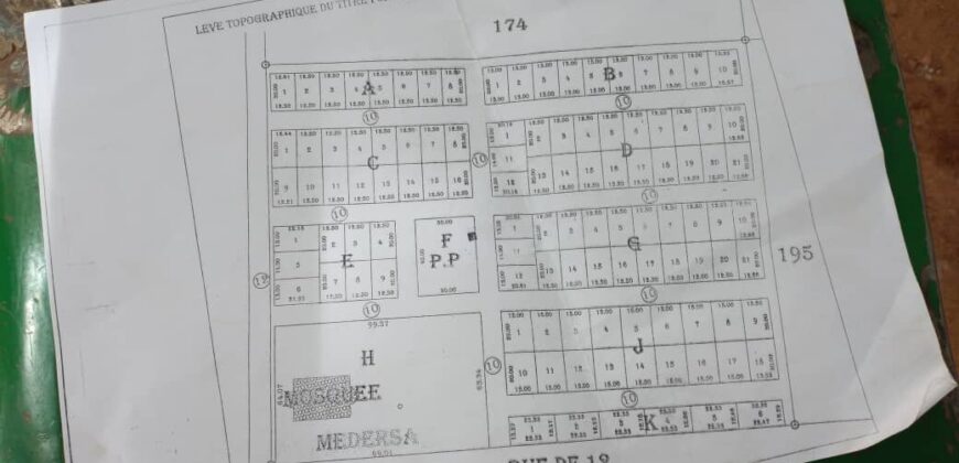 Terrains de 250 et 300 m² à vendre – Tiéguéna, Dialakorobougou